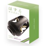 Hanayama Cast Cage Level 3