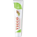 Vicco Vajradanti Ayurvedic Paste Saunf Flavour 160g