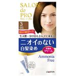 Dariya Salon De Pro No Smell Hair Color 3 Bright Brown
