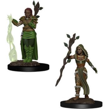 Neca D&D Nolzur's Marvelous Miniatures Human Female Druid