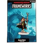 Dungeons & Dragons Frameworks Human Druid