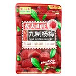 农夫山庄九制杨梅108G | Farmer's Grange Bayberry 108g