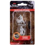 Dungeons & Dragons Human Druid Male