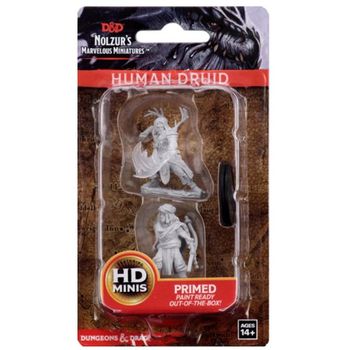 Dungeons & Dragons Human Druid Male