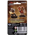 Dungeons & Dragons Human Druid Male