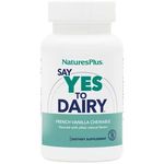 NaturesPlus Say Yes to Dairy 50 Chewable Tablets Natural Lactase Enzyme Supplement Maximum Strength Digestive Aid Lactose Intolerance Relief Gluten 50 Servings