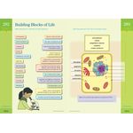 Brain Quest Workbooks Grade 6
