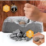 Discovery Mindblown Colossal Fossil Dig