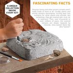 Discovery Mindblown Colossal Fossil Dig