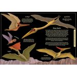 Wide Eyed Editions Secret Stories Of Lost Beasts