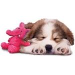 Kong Marvin Moose Cozie Dog Toy Small