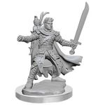 Wizkids Dungeons & Dragons: Frameworks: Half-Elf Ranger