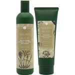 Weilaiya Ginger Shampoo And Conditioner Set 400ml and 250ml