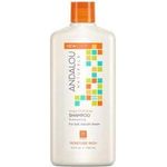 Andalou Naturals Shampoo Mstre Argan Swt Orng