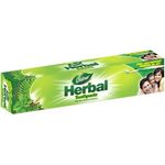 Dabur Tooth Paste Herbal 100g