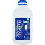 Cactus Mineral Water 5.5l