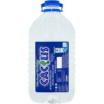 Cactus Mineral Water 5.5l
