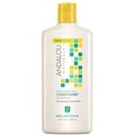 Andalou Naturals Condtnr Shine Snflwr Ctrs