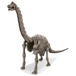 4M Dig a Dinosaur Brachiosaurus