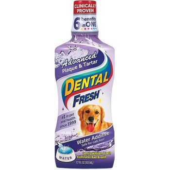 Dental Fresh Advanced Plaque And Tartar Water Additive 503ml