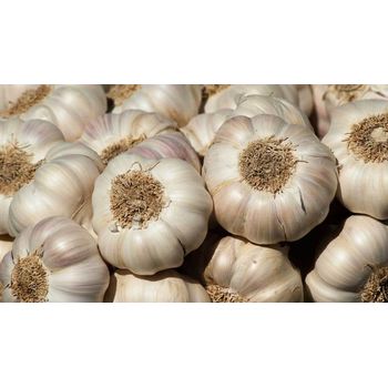 India Garlic Split Approx 300gm