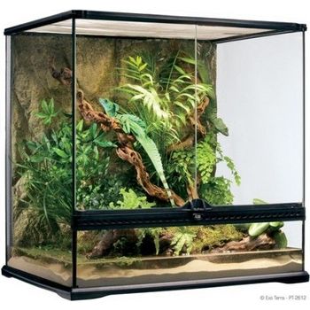 Exo Terra Medium Tall Terrarium