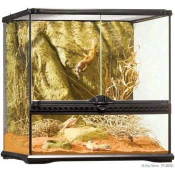Exo Terra Small Wide Terrarium