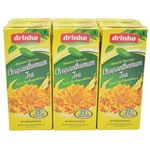 Drinho Chrysanthemum Tea Drink 6pcs 250ml