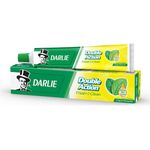 Darlie Double Action Fluoride Toothpaste 175g