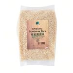 Green Earth Organic Seedless Plum 50g