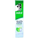 Darlie Toothpaste Enamel Mild Mint 200g