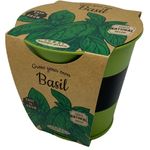 Boutique Garden Pastel Colours Pots Chalk Basil