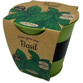 Boutique Garden Pastel Colours Pots Chalk Basil