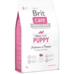 Brit Grain free Puppy Salmon and Potato 1kg
