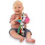 Galt Teether Soft Book Farm