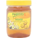 Polleney Pure Honey 454g