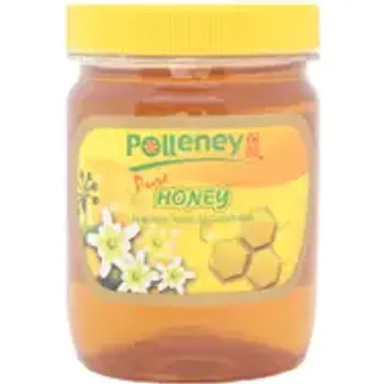 Polleney Pure Honey 454g
