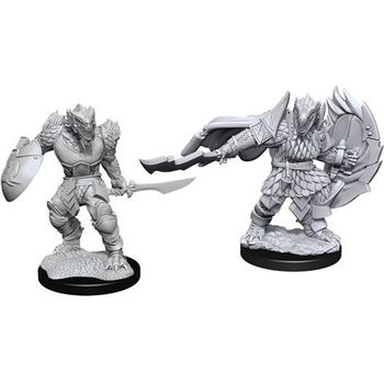 Wizkids Male Dragonborn Fighter