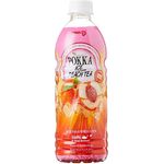 Pokka Peach Tea 500ml