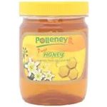 Polleney Pure Honey 454g