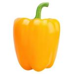 Capsicum Yellow           