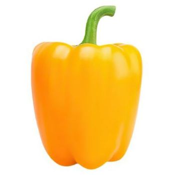 Capsicum Yellow