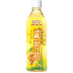 Hung Fook Tong Salted Mandarin Drink 500ml