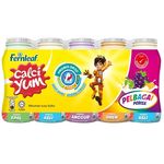 Fernleaf Calciyum Aneka 5 Keping x 110ml