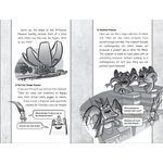 Epigram Books Secrets Of Singapore National Gallery