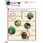 Kumon Science Sticker Activity Book K And Up