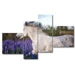 Personalized Wall Art Prints quarter horse