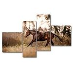 Personalized Wall Art Prints Quarter Horse Foal Horse Run Stock Pictures Roy