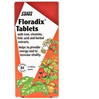 Salus Floradix Iron And Vitamin 84 Tabs