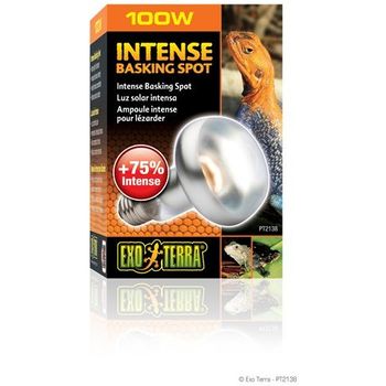 Exo Terra Intense Basking Spot S25 100w